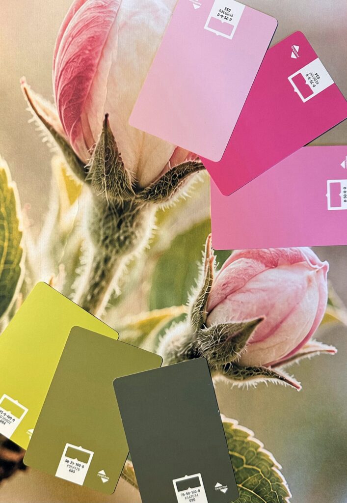 Brandingprozess moodboard farben